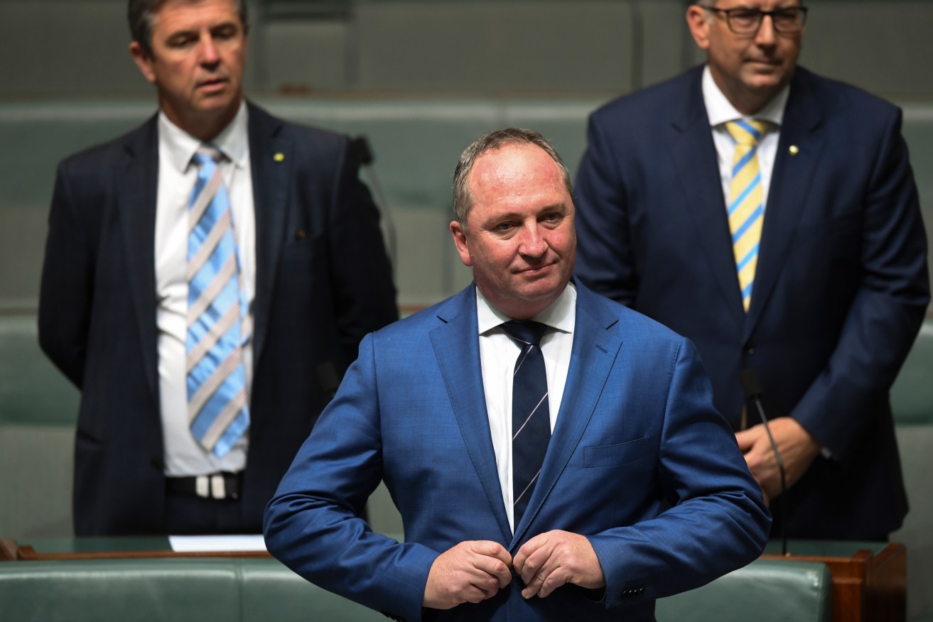 Barnaby Joyce in the House of Representatives today. Photo: Lukas Coch/AAP