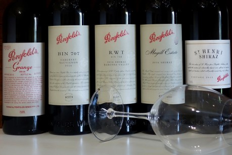 Penfolds sales rise but parent company’s profits softer in first half