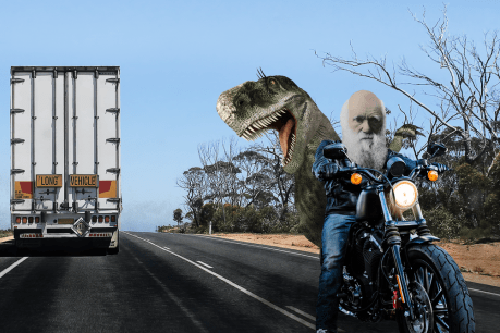 What evolution and motorcycles have in common: let’s take a ride across Australia