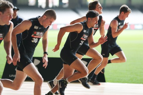 Port and Crows prepare for superdraft bounty