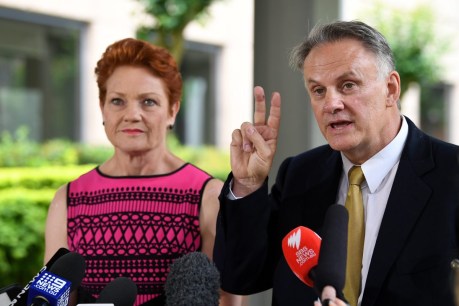 One Nation leader tells Latham to apologise for ‘disgusting’ tweet