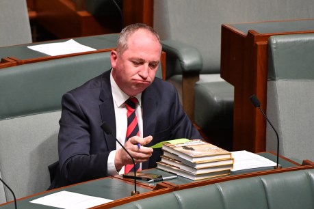 Joyce accuses Turnbull of poisoning the Coalition Government