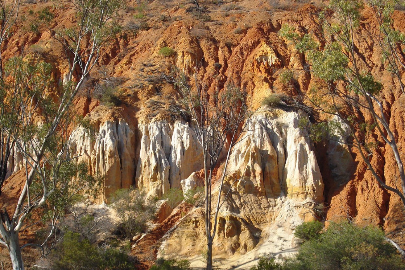 Red cliffs on the Murray River near Renmark. Photo: NJ Molloy / Wikimedia Commons