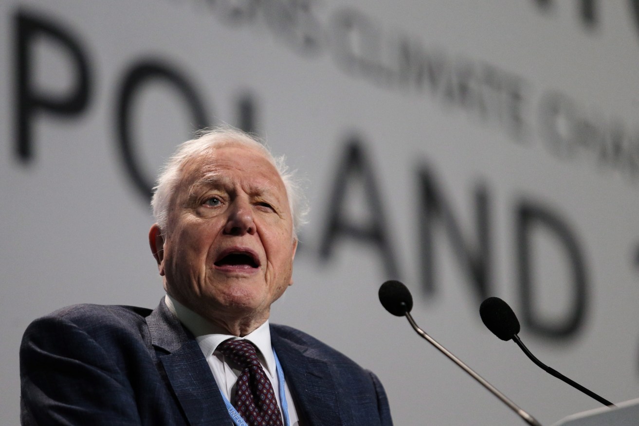 British naturalist David Attenborough speaking at the opening ceremony of the COP24 summit in Katowice, Poland. Photo: EPA/Andrzej Grygiel