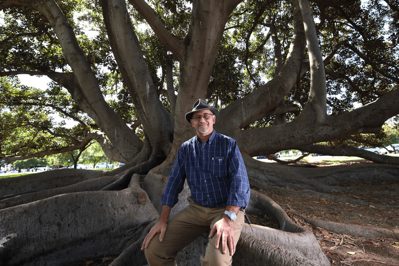 Adelaide City Council horticulturalist, Mark Scharnberg, next to his favourite tree - a Moreton Bay Fig east of Adelaide Oval. Photo: Tony Lewis / InDaily