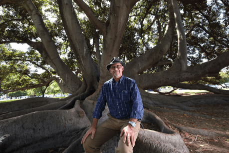 A subjective guide to Adelaide’s most iconic trees