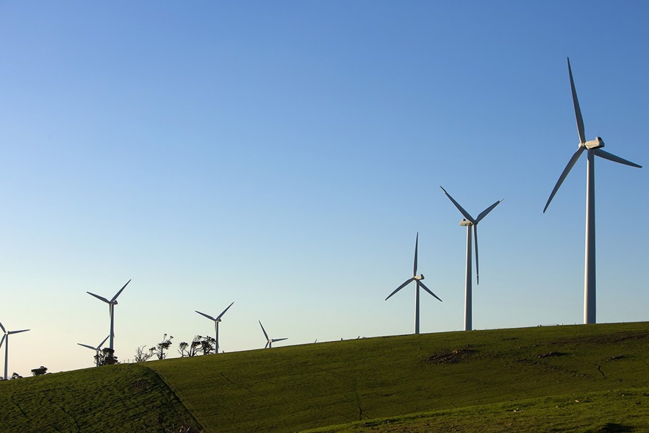 A wind farm near Cape Jervis in South Australia. 