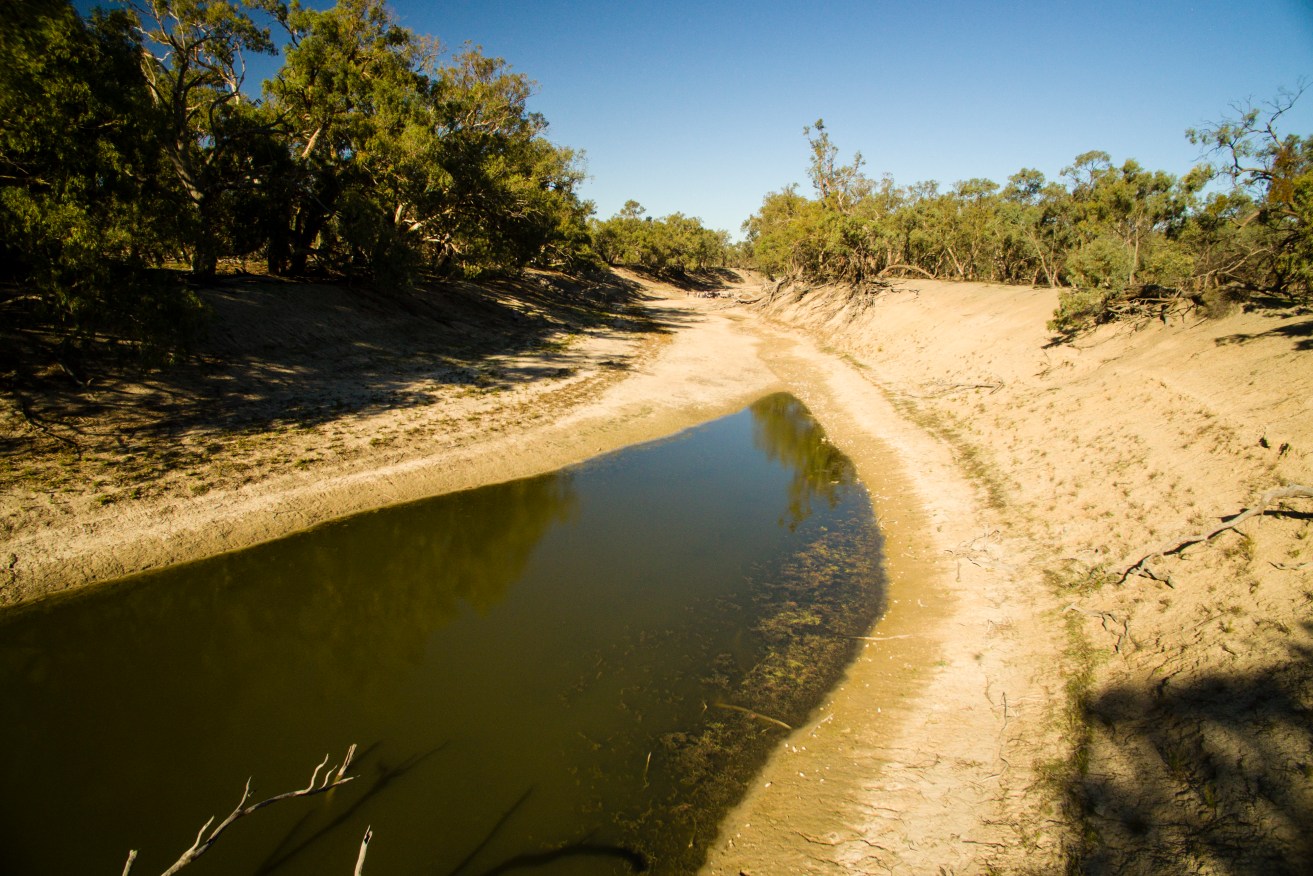 Puddles in the bed of the Darling River are a sign of an ecosystem in crisis.
Jeremy Buckingham/Flickr, CC BY-SA