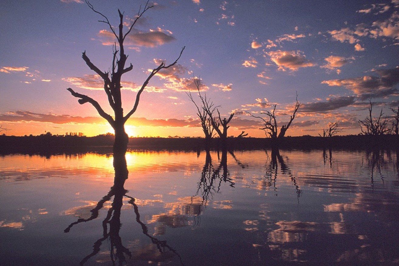 The River Murray in South Australia: the state will be the loser if the sun sets on the new Murray Darling Basin Plan. Photo: Tony Lewis/InDaily