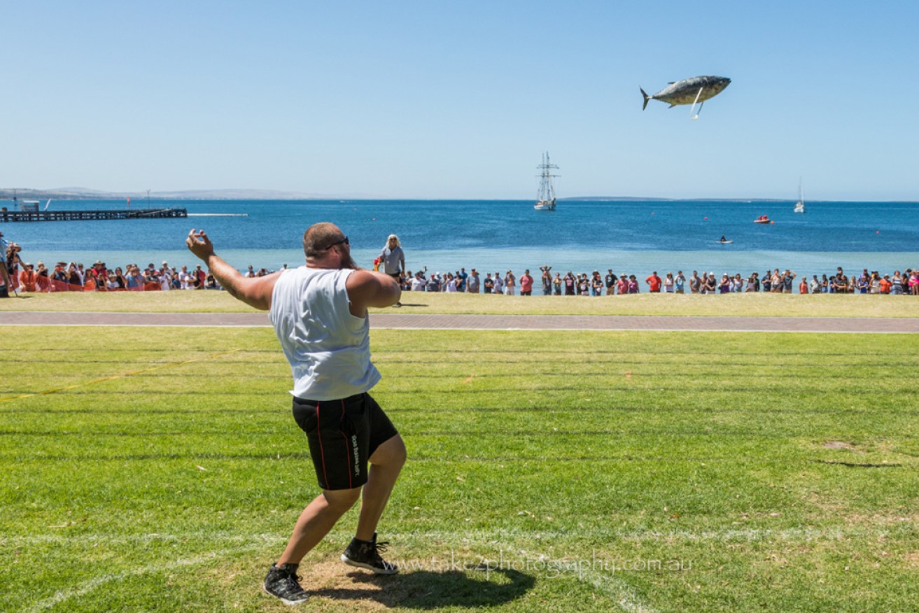 The Tuna Toss is the most popular event at Port Lincoln's Tunarama Festival. Photo: Fran Solly