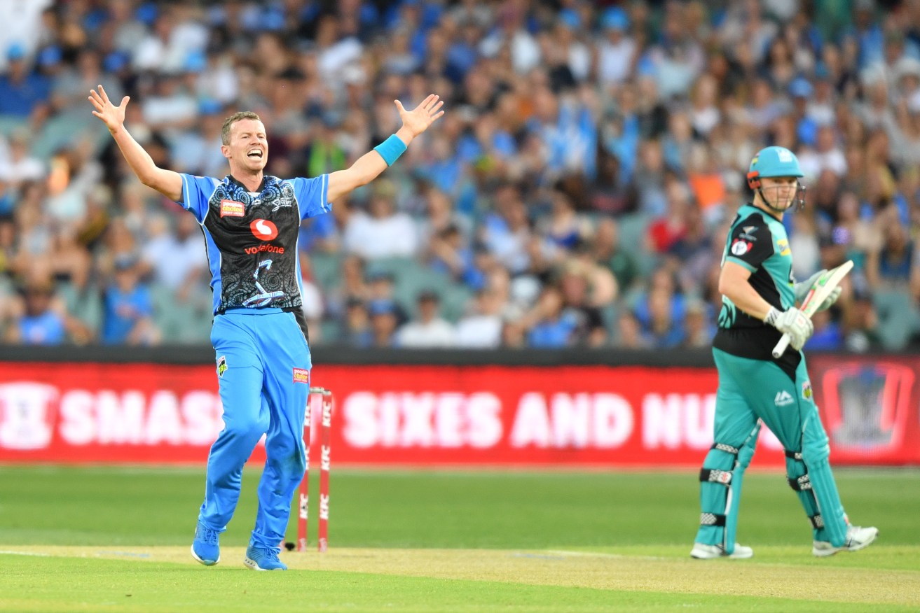 Is the domestic T20 competition losing its appeal? Photo: David Mariuz / AAP
