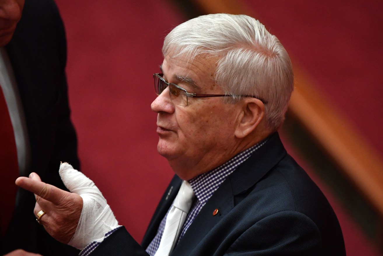 United Australia Party Senator Brian Burston with a bandaged left hand in the Senate today. Photo: AAP/Mick Tsikas