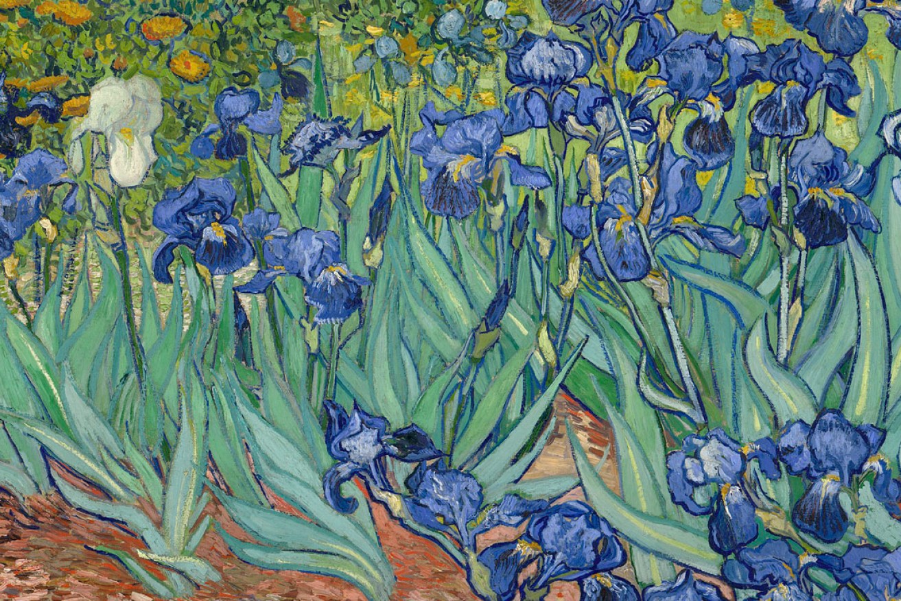 'Irises' (cropped), by Vincent van Gogh.