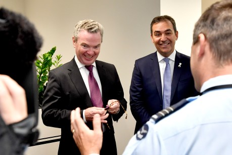 Christopher Pyne’s last political favour to Steven Marshall
