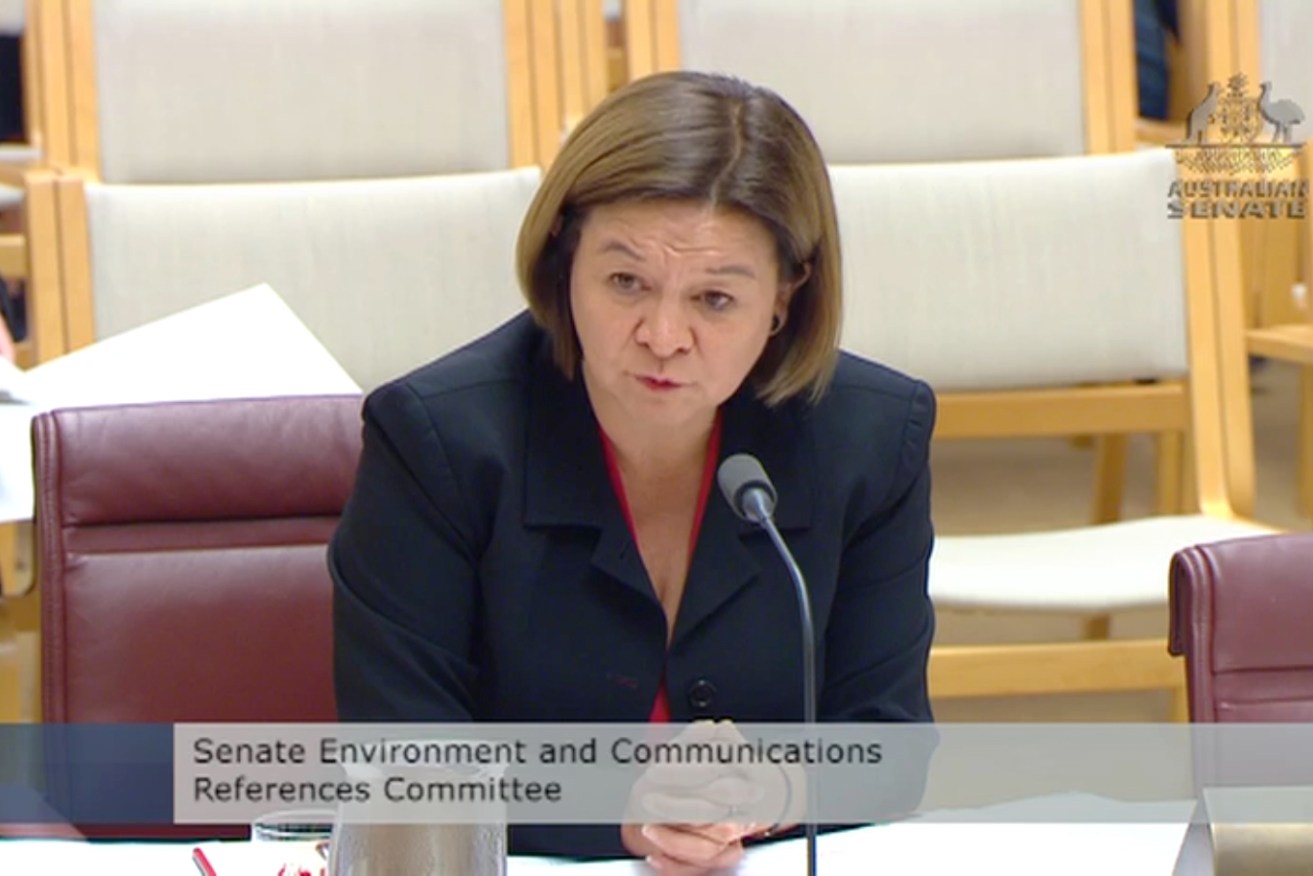 ABC board members have told a Senate inquiry former managing director Michelle Guthrie didn't raise political interference claims until she was dismissed. Photo: SUPPLIED