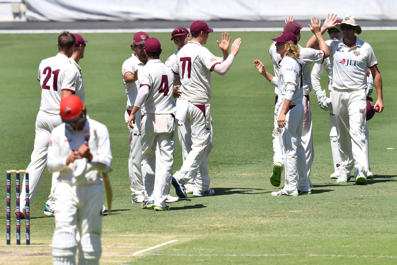 Queensland players celebrate their win over South Australia at the Gabba today. Photo: AAP/Darren England