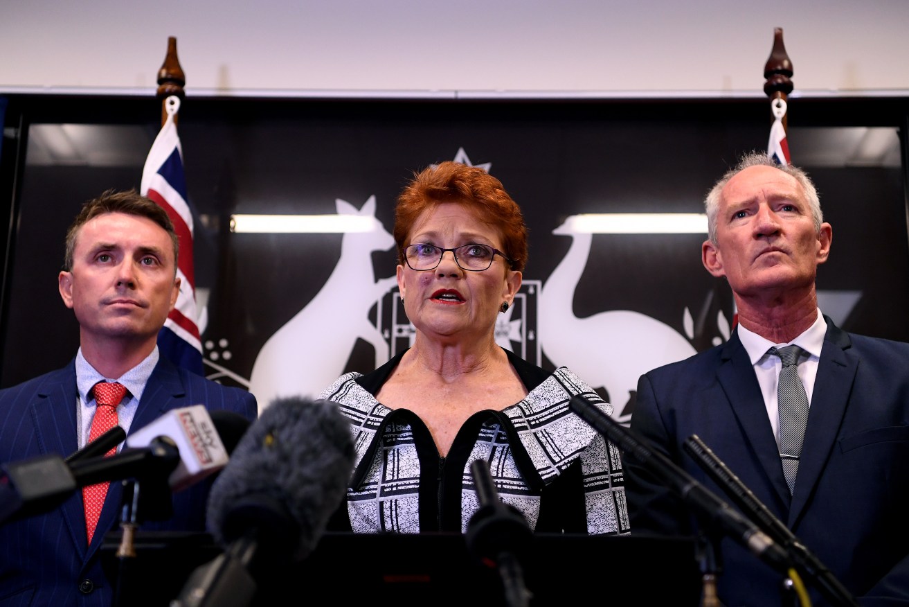 One Nation leader Pauline Hanson has ruled out changing Australian gun laws, after an undercover sting showed party officials trying to get funding from US gun lobby the NRA.
Photo: AAP/Dan Peled