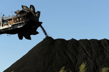 Shut down Australia’s coal industry by 2030: Greens