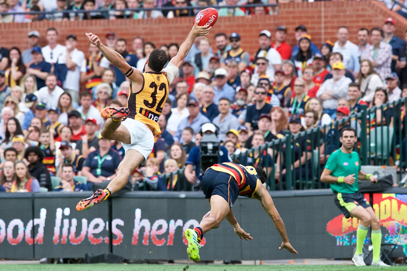 The Hawks flew and the Crows... didn't. Footy's back. What fun. Photo: Michael Errey / InDaily