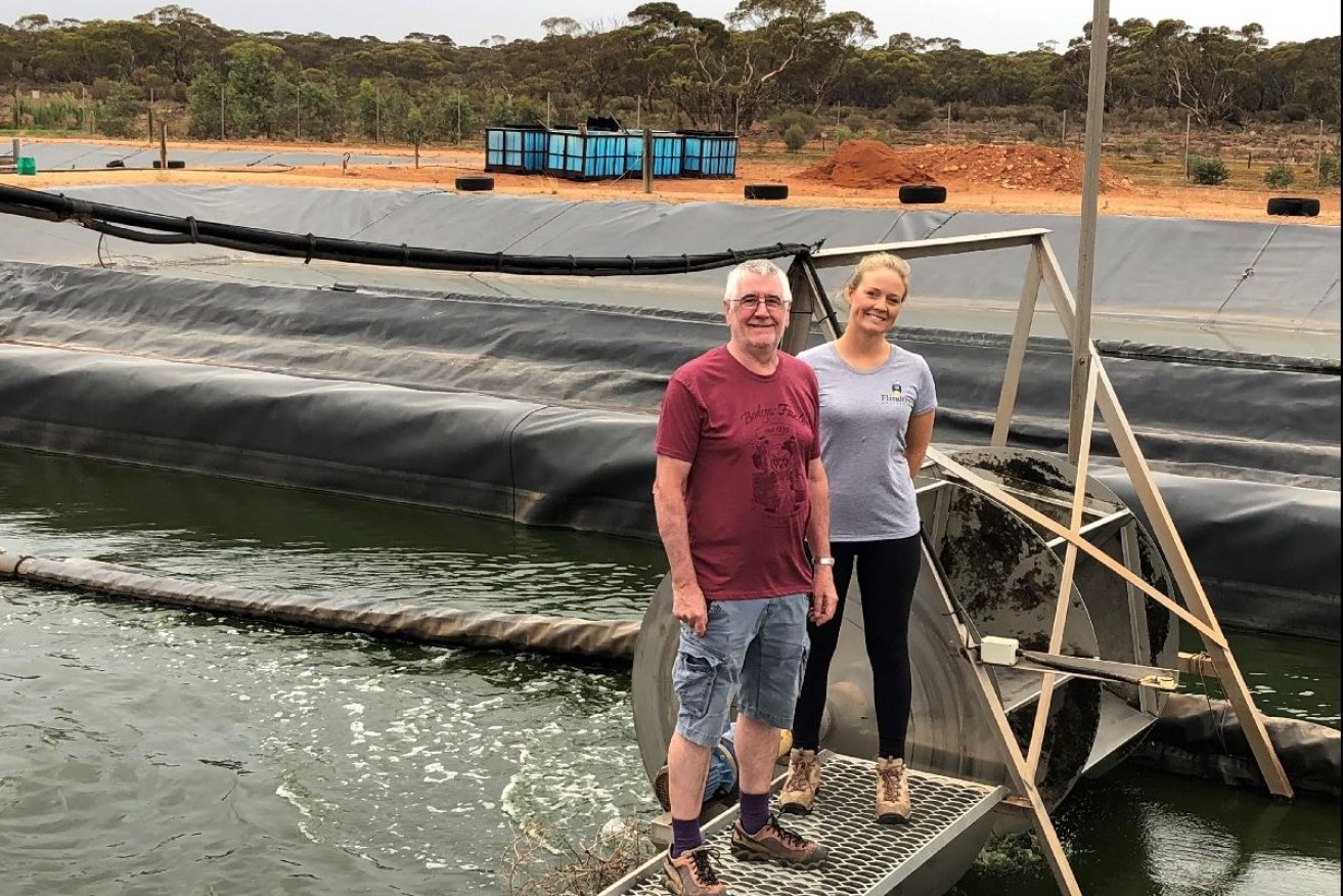 Professor Howard Fallowfield and Flinders University Environmental Health lecturer Dr Harriet Whiley inspect the Kingston-on-Murray HRAP site.