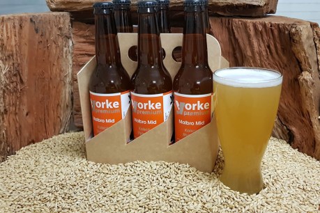 Paddock to pint ploy puts Yorke Peninsula on beer map