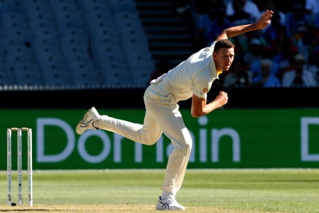 Hazelwood out, Smith and Warner in World Cup squad