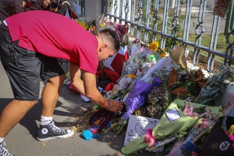 Accused Christchurch shooter faces NZ court
