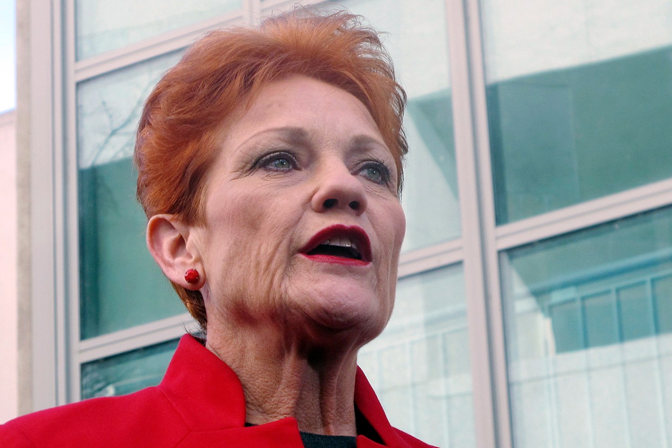 Support for Pauline Hanson's One Nation has dropped to four per cent in the wake of the NRA guns scandal. Photo: AP/Rod McGuirk