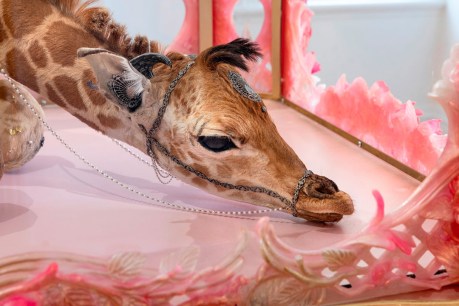 Bejewelled giraffe among 2019 Ramsay Art Prize finalist works