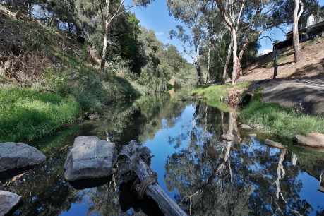 How the River’s run: Torrens governance reform looms