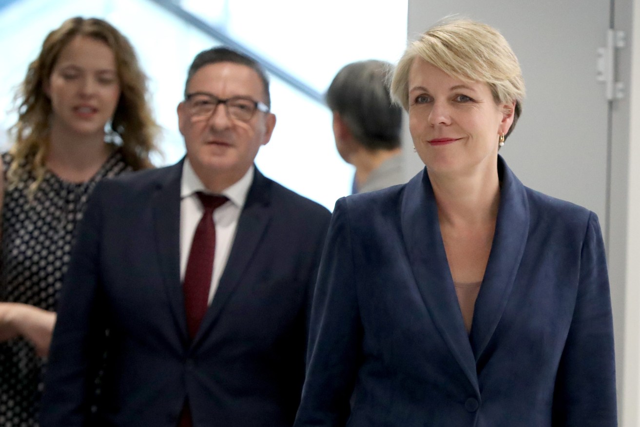  Steve Georganas during the federal campaign with then-fellow Left-wingers Nadia Clancy and Tanya Plibersek. Photo: Kelly Barnes / AAP