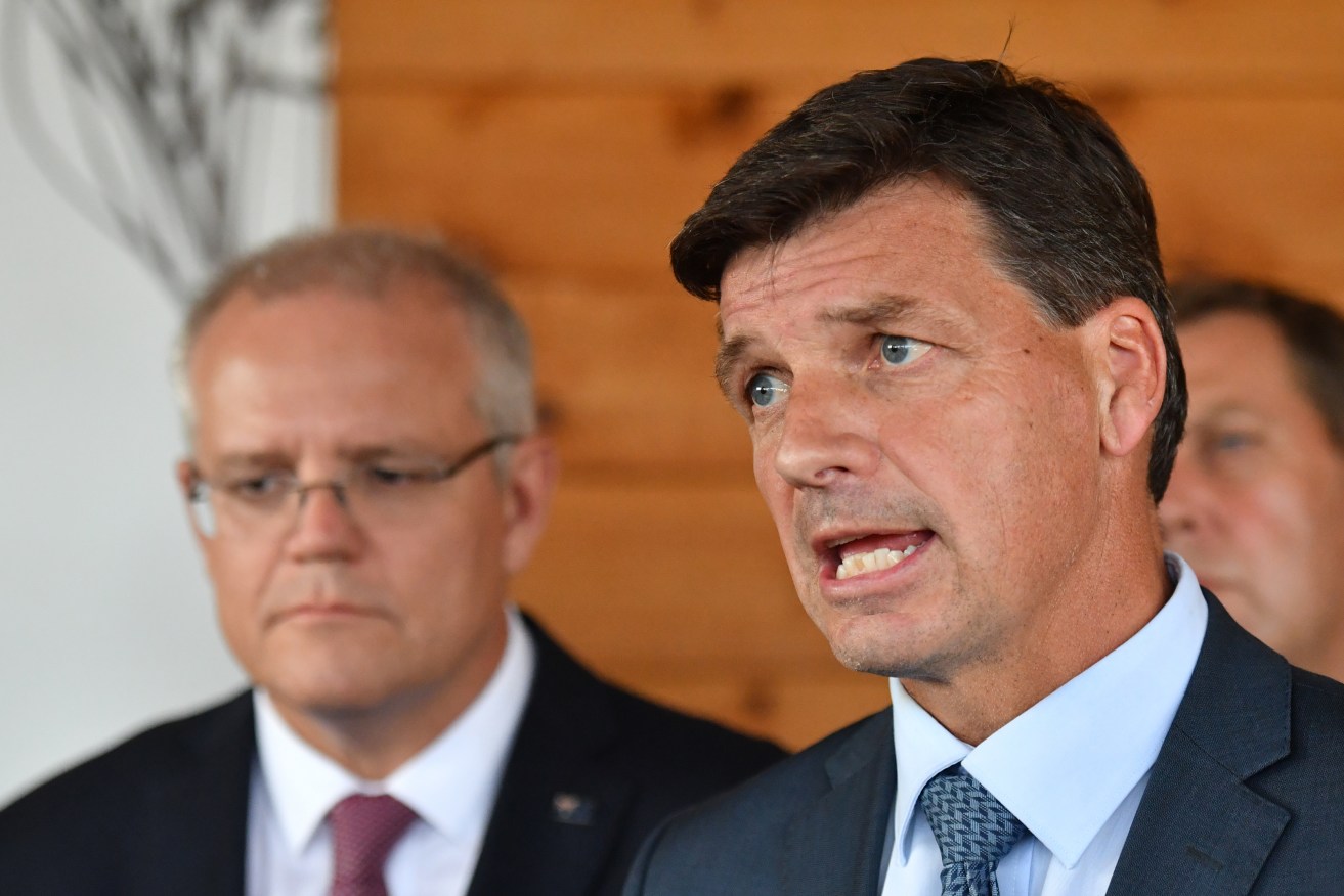 Angus Taylor says Labor should support the government's plans to cut carbon emissions. Photo: AAP/Mick Tsikas
