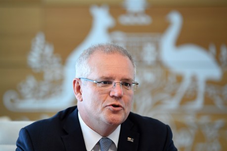 Morrison set for majority government