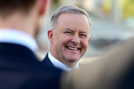 Albanese unopposed for Labor leadership