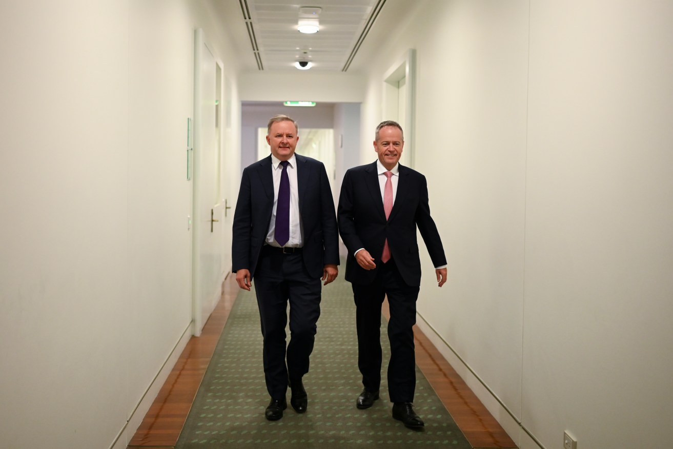 Anthony Albanese agrees with Bill Shorten that vested interests helped derail Labor at the election. Photo: AAP/Lukas Coch