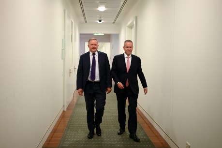 “Vested interests” helped sink Labor victory: Albanese
