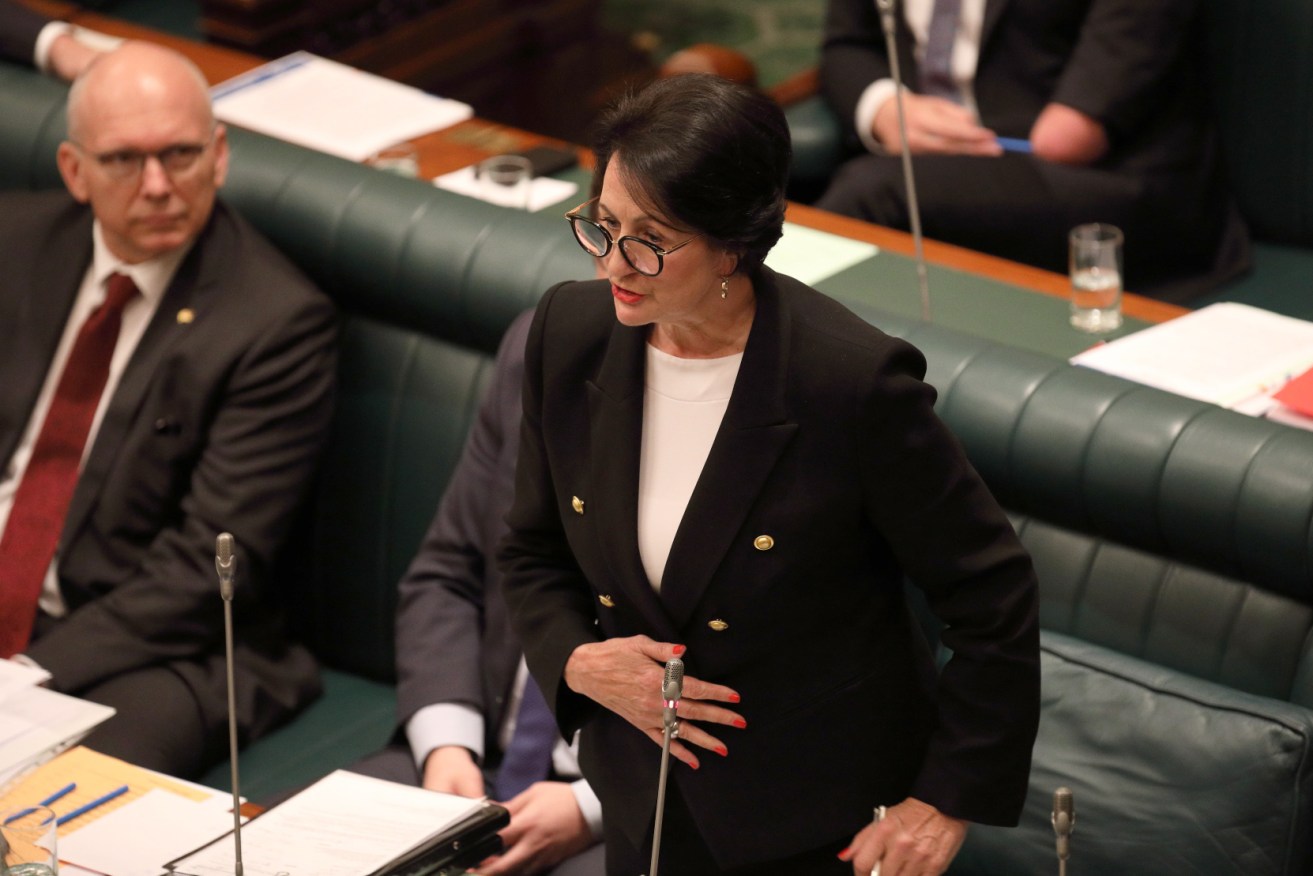 Vickie Chapman in parliament. Photo: Tony Lewis / InDaily