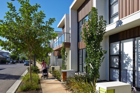 New planning code aims to reverse negative consequences of Adelaide’s urban infill