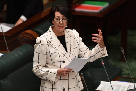 Vickie Chapman’s surrogacy bill to help gay couples have children