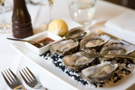 Long road to recovery begins for SA oyster industry