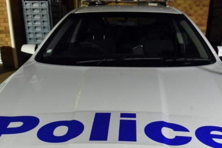 FIFO police unit to patrol APY Lands