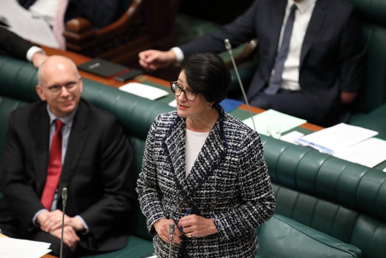 Vickie Chapman has criticised the Equal Opportunity Commissioner's budget priorities. Photo: Tony Lewis/InDaily