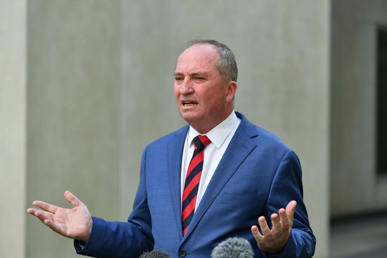 Barnaby Joyce says it would be "near impossible" to survive on Newstart, as he struggles on his Parliamentary salary. Photo: AAP/Mick Tsikas