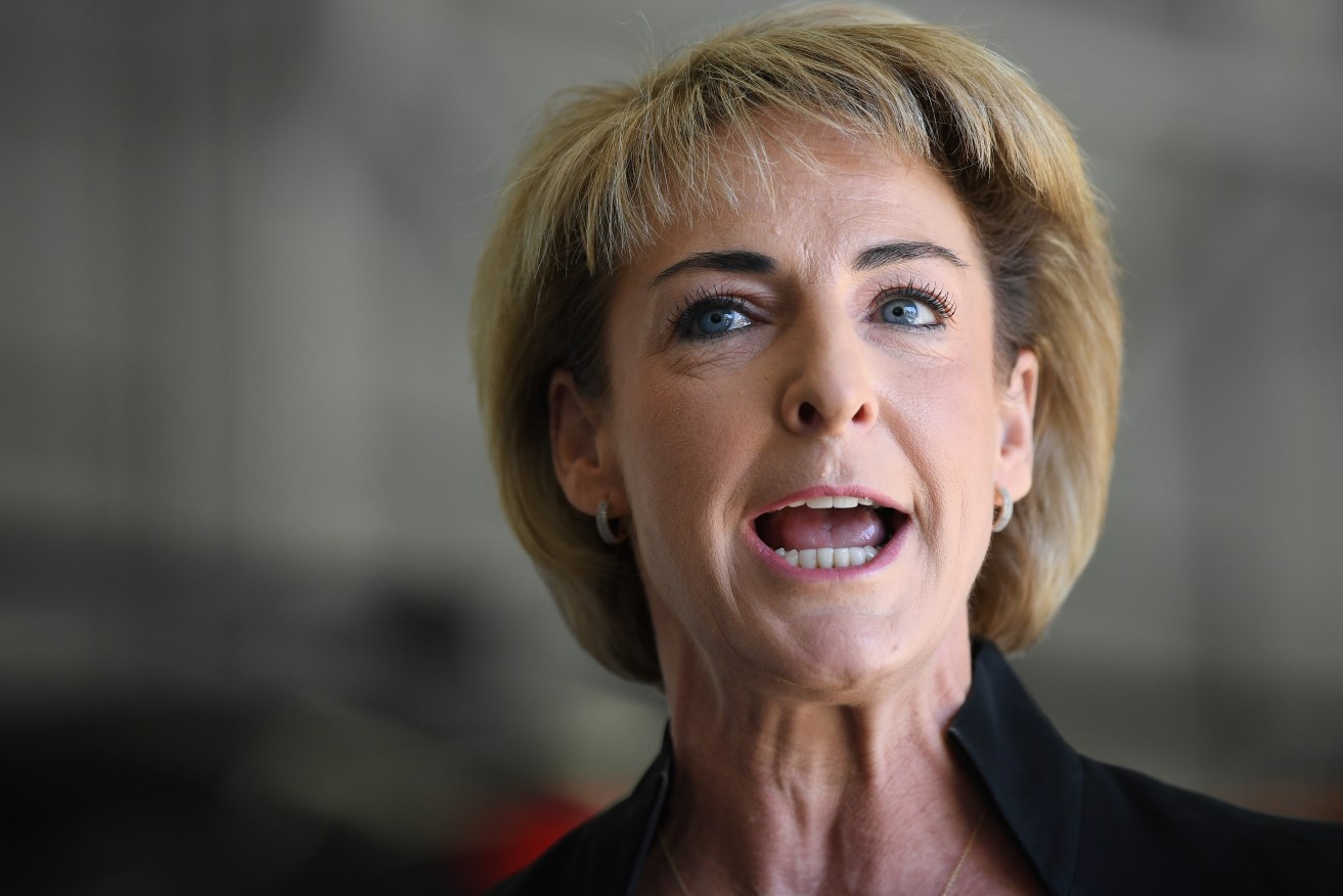 Employment Minister Michaelia Cash says the government is very serious about the "mutual obligation" of people receiving welfare payments. Photo: AAP/Joel Carrett