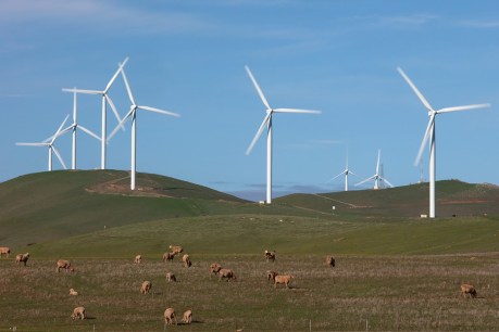 Wind and solar cut rather than lift wholesale electricity prices