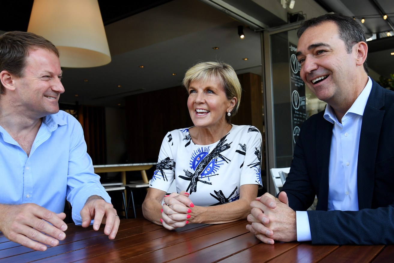 MP Josh Teague, who represented the Liberals in the previous boundaries commission, with then-Foreign Affairs Minister Julie Bishop and Premier Steven Marshall. Photo: Tracey Nearmy / AAP