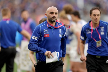 A Shaw thing for new North Melbourne coach