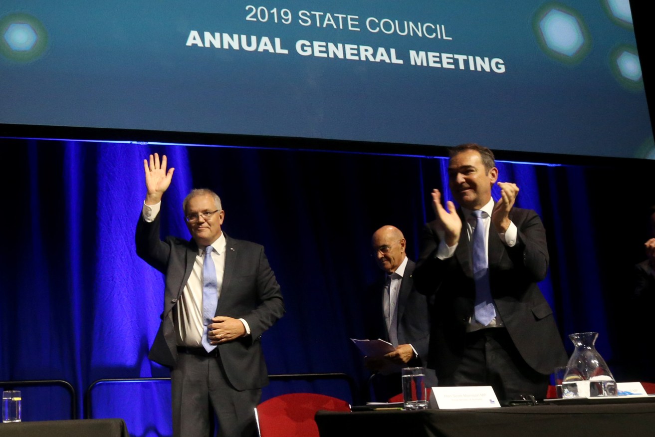 Steven Marshall onstage at the weekend's Liberal AGM, flanked by Prime Minister Scott Morrison and state party president John Olsen. Photo: Kelly Barnes / AAP
