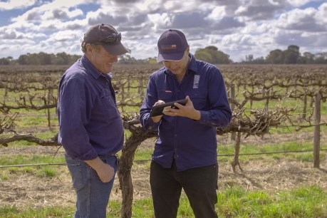 Ag-tech app solutions delivering better results for farmers