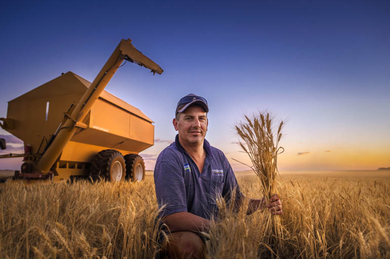 Laucke Flour Mills supports regional grain growers like Alex Hillerman who supply the premium product direct.